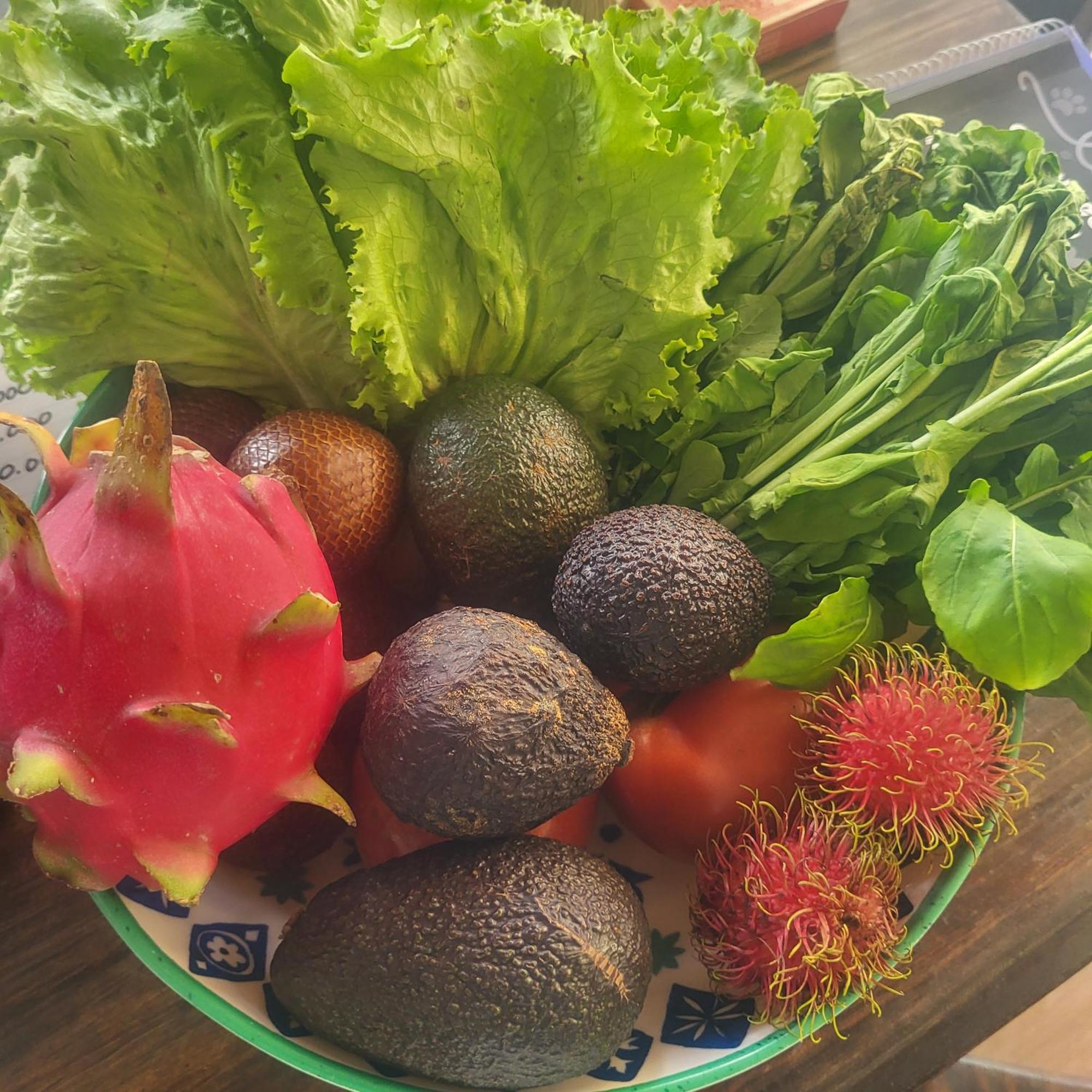 Madre Terra Bed & Breakfast Uvita Ngoại thất bức ảnh
