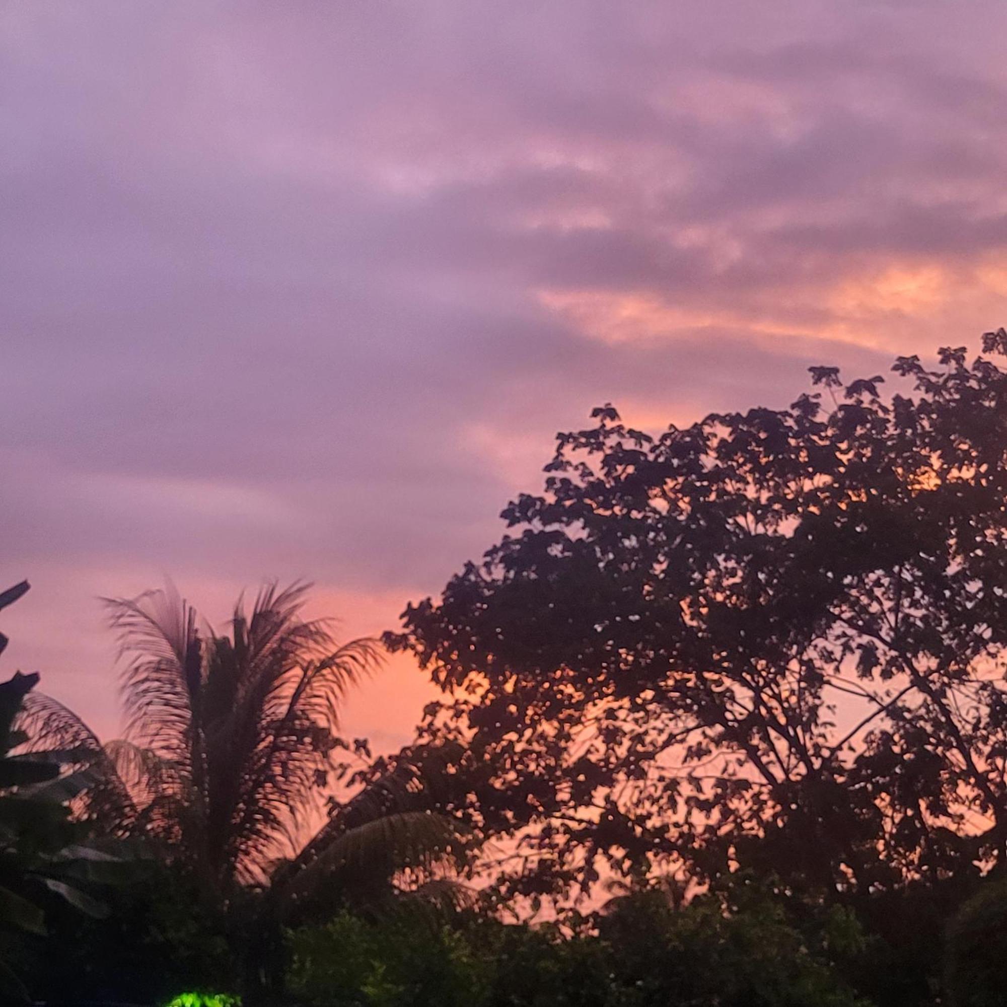 Madre Terra Bed & Breakfast Uvita Ngoại thất bức ảnh