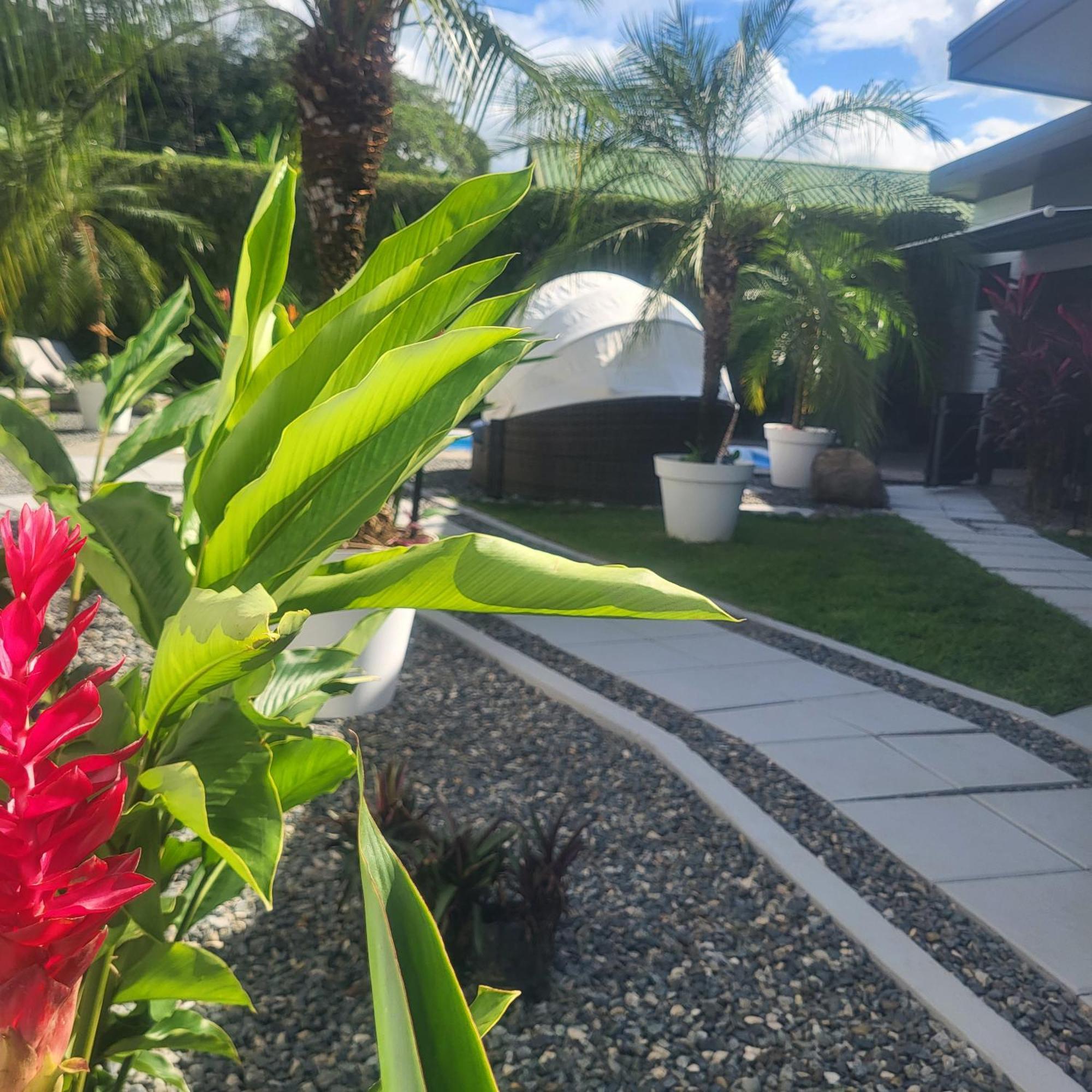Madre Terra Bed & Breakfast Uvita Ngoại thất bức ảnh