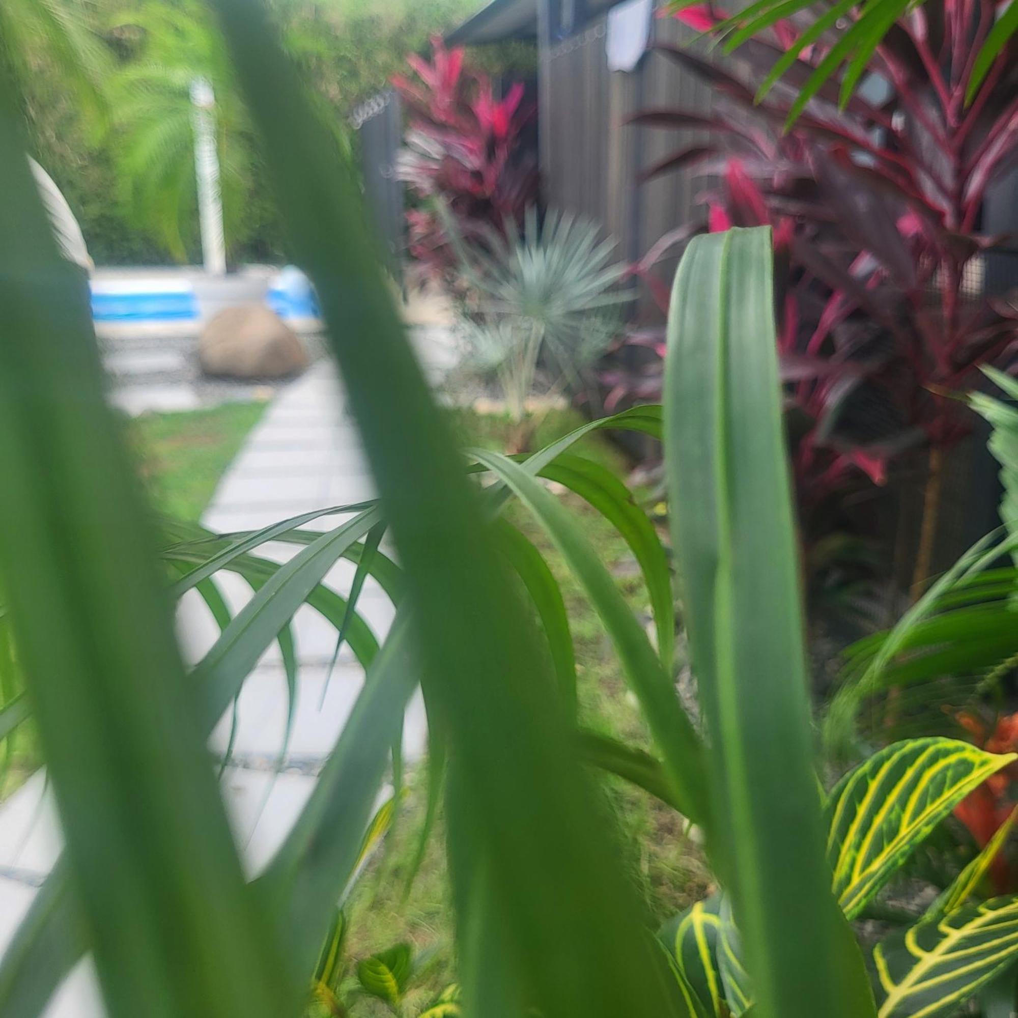 Madre Terra Bed & Breakfast Uvita Ngoại thất bức ảnh
