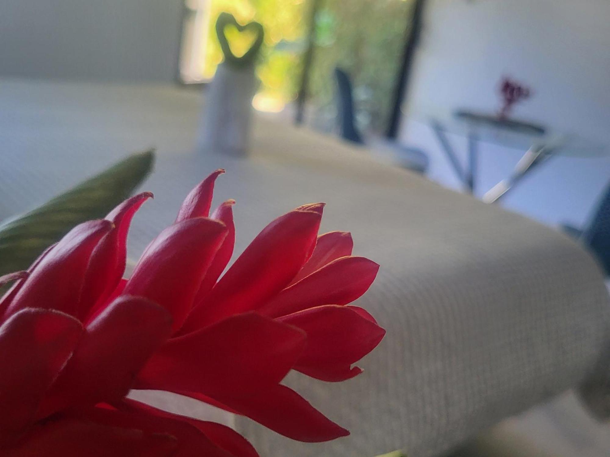 Madre Terra Bed & Breakfast Uvita Ngoại thất bức ảnh
