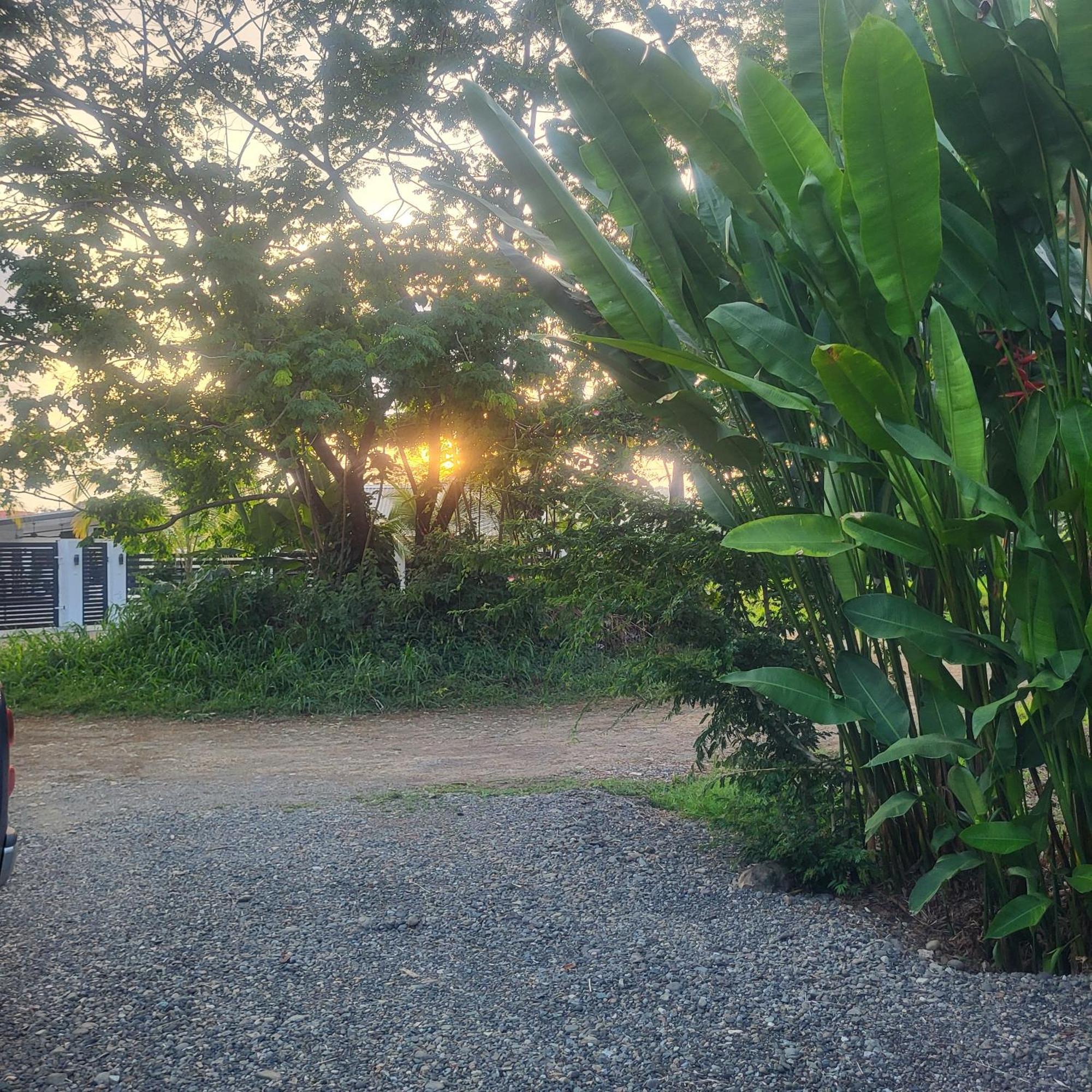 Madre Terra Bed & Breakfast Uvita Ngoại thất bức ảnh